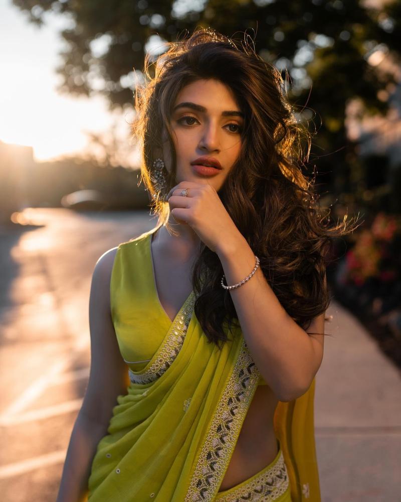 sreeleela-hot-saree-photos